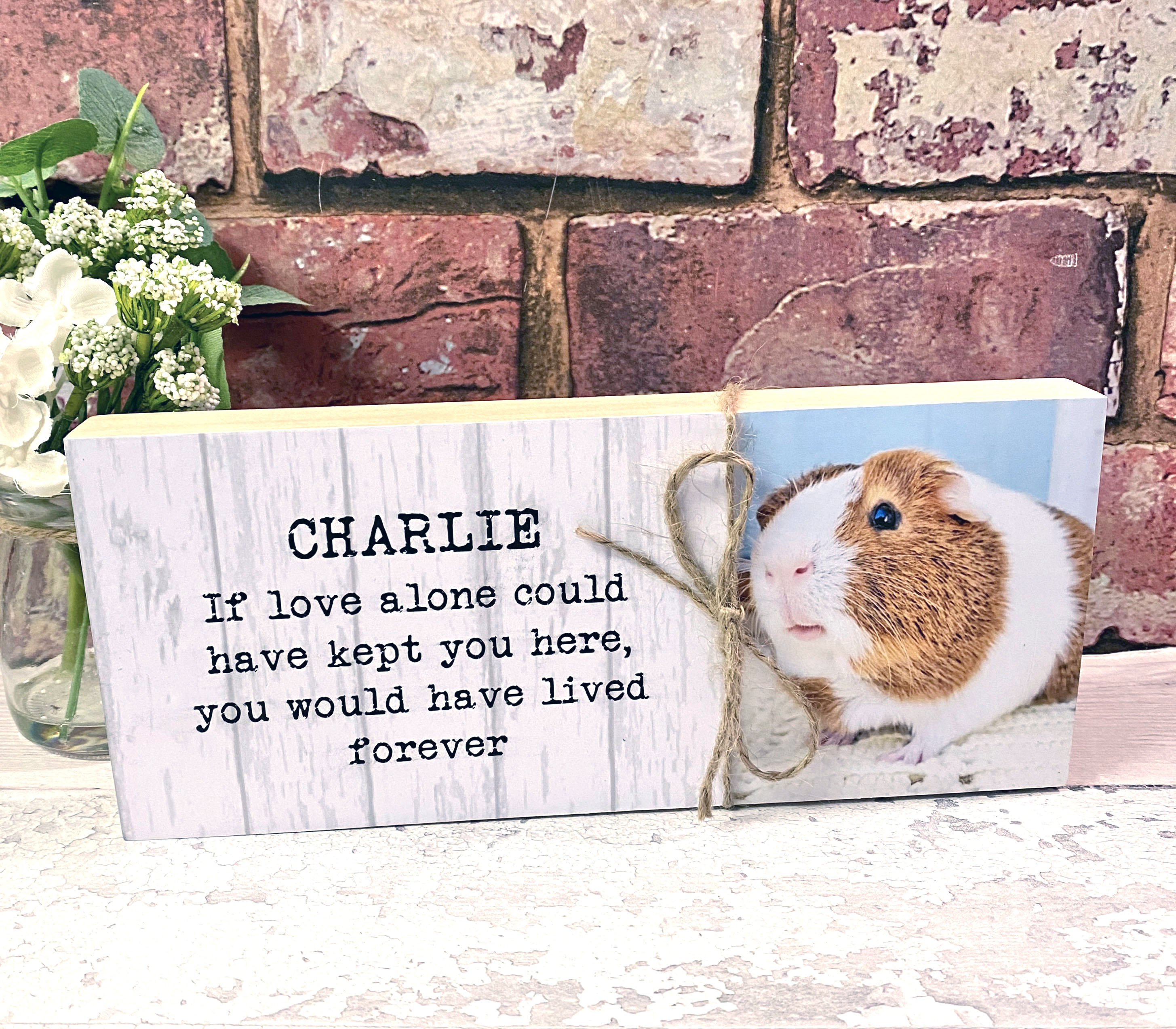 Guinea Pig Memorial GiftPet Memorial Memorial Gift Guinea Etsy
