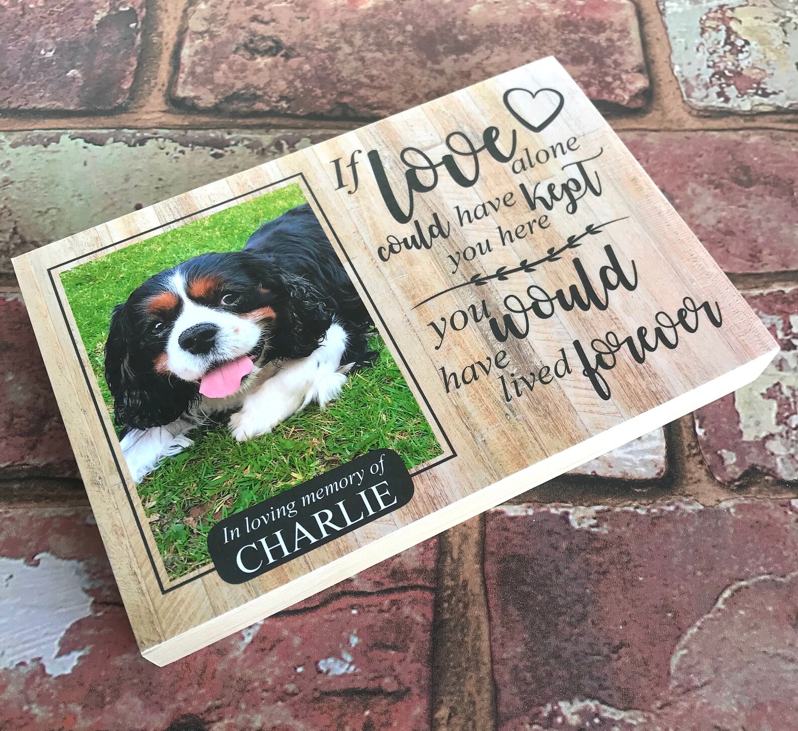 Rabbit Memorial GiftPet Memorial Frame Memorial Gift Rabbit Etsy