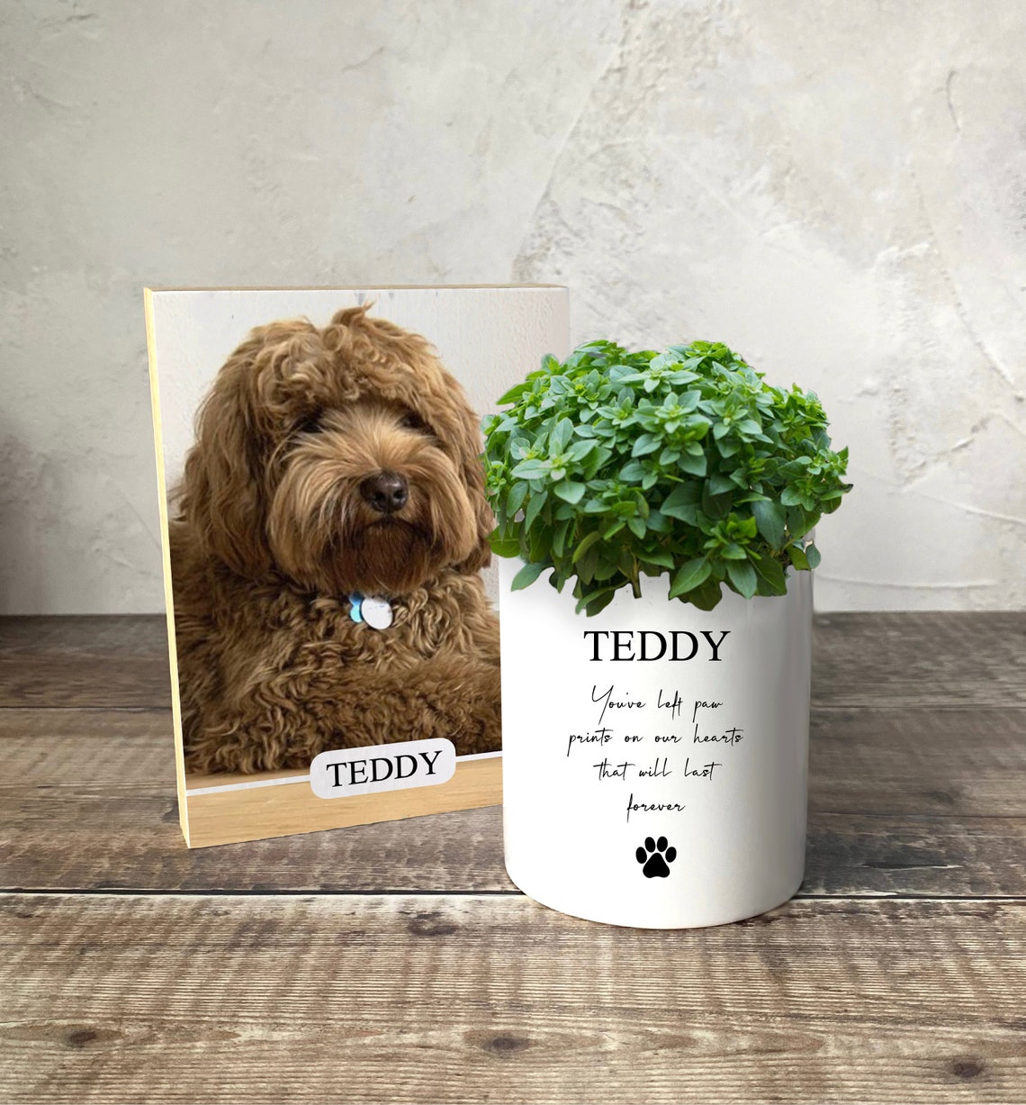 Photo & Plant Memorial Pet Memorial Plant Pot and Photo Block Etsy