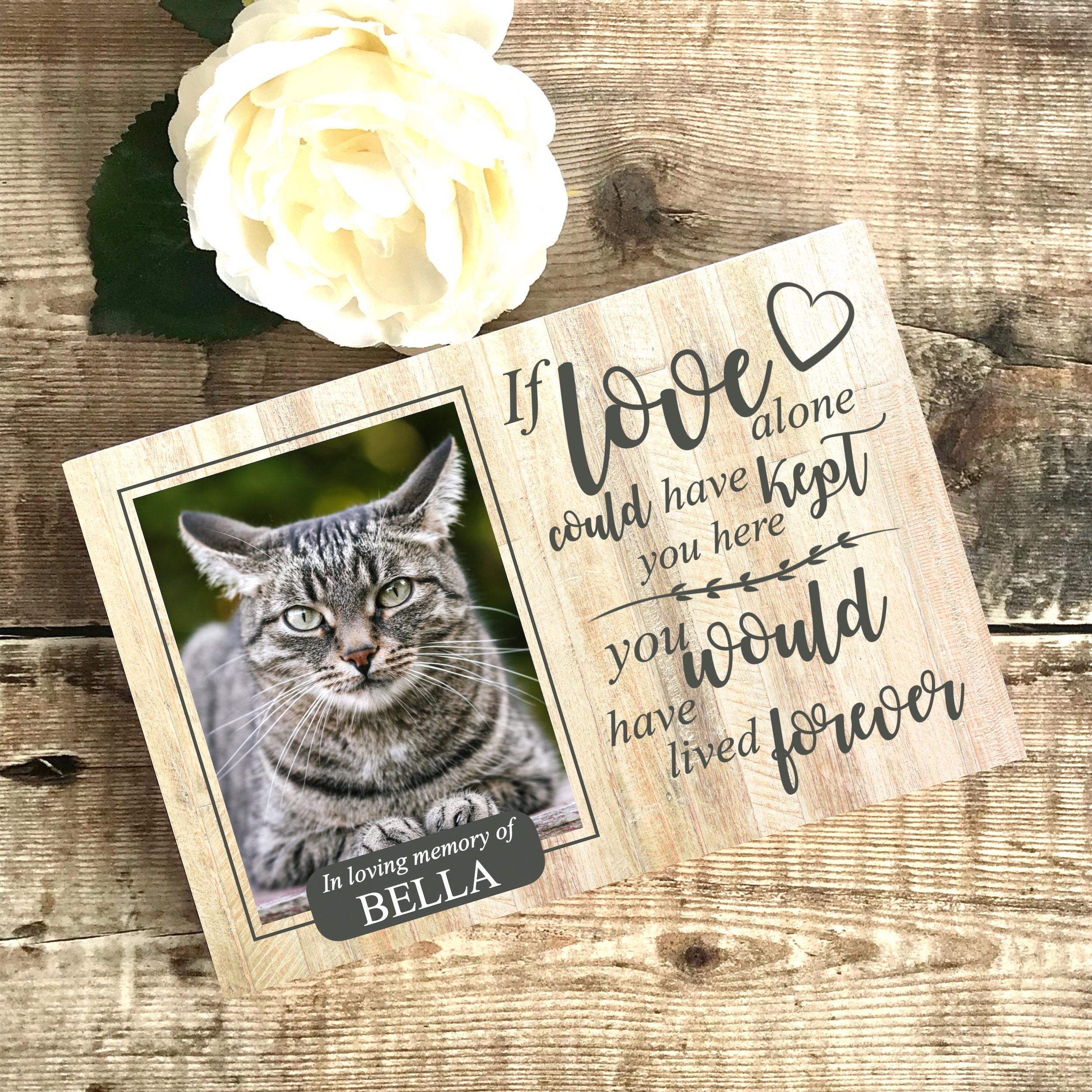 Cat Memorial Gift Cat Memorial Frame Cat Memorial Cat Etsy UK
