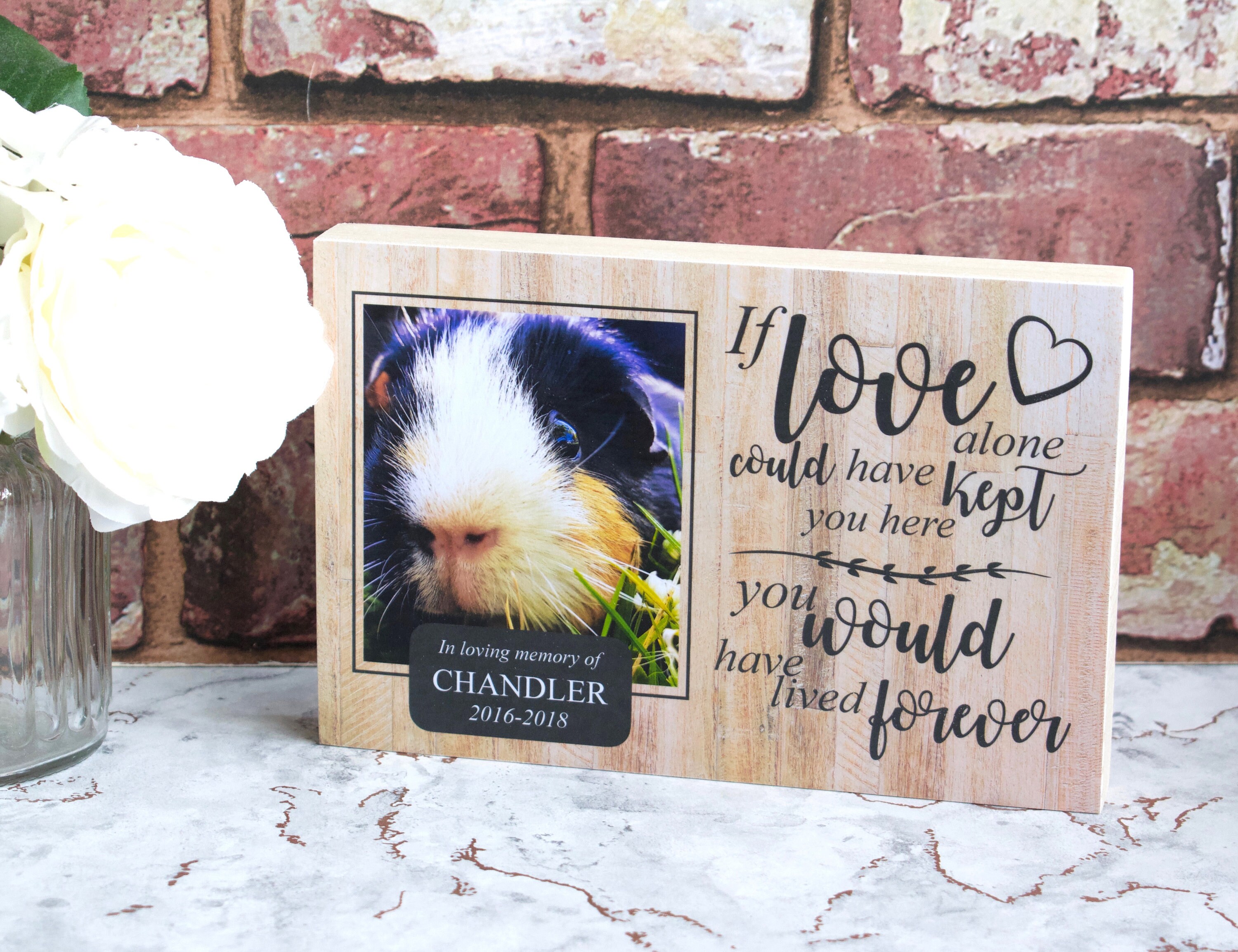 Guinea Pig Memorial GiftPet Memorial Memorial Gift Guinea Etsy