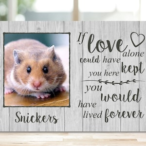 Hamster Memorial Frame Gift, Gerbil Memorial, Mouse Memorial, Pet Memorial, Pet Plaque, Pet Memorial Photo Frame, Dog Memorial Picture Frame