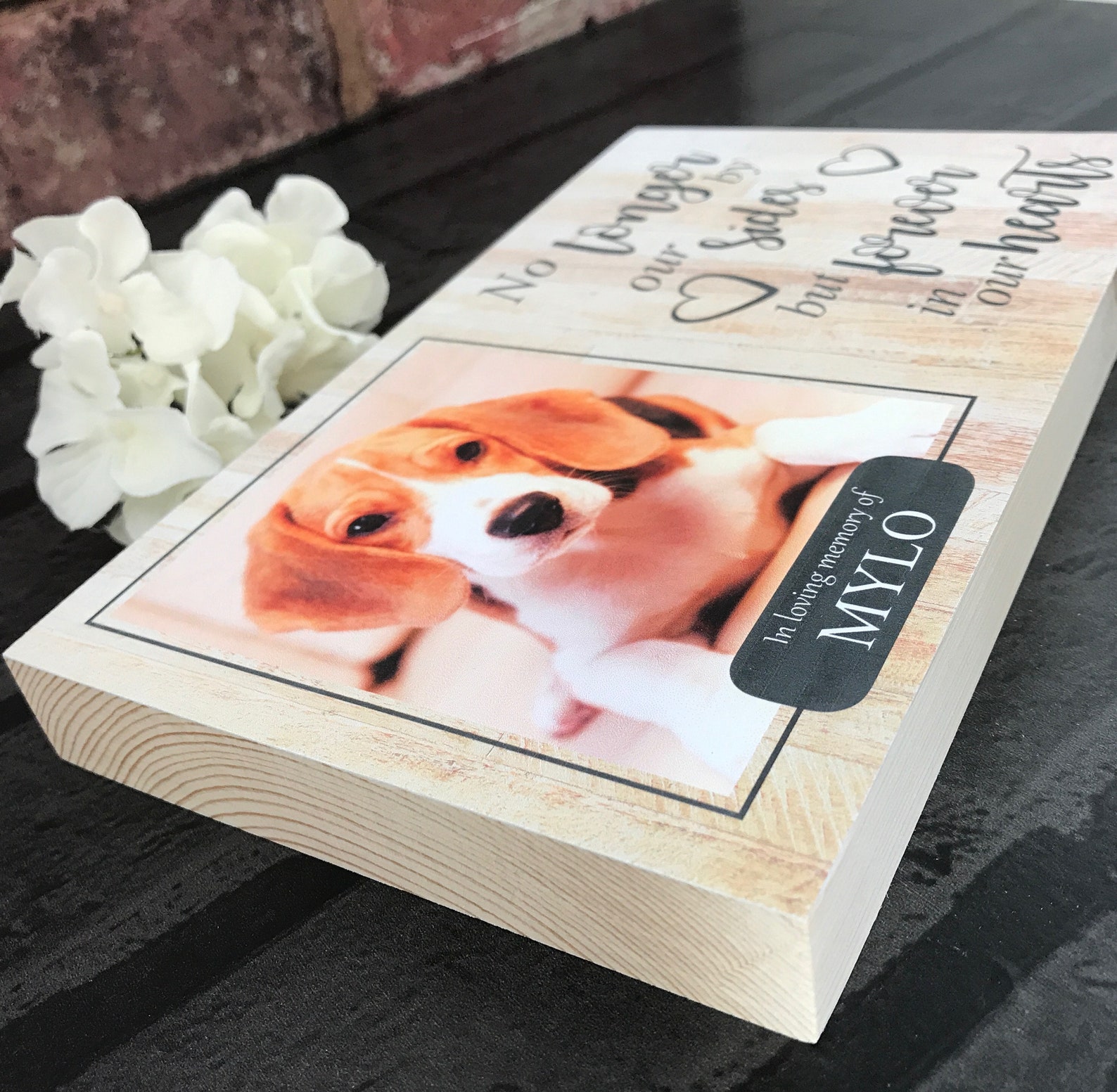 Cat Memorial Gift Cat Memorial Frame Cat Memorial Cat Etsy UK