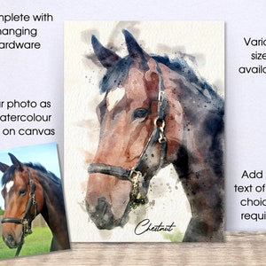 May include: Watercolour painting of a chestnut horse's head with a halter. The painting is on canvas and has a white background. The text "Chestnut" is written in cursive at the bottom of the painting.