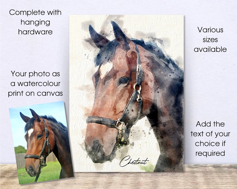 May include: Watercolour painting of a chestnut horse's head with a halter. The painting is on canvas and has a white background. The text "Chestnut" is written in cursive at the bottom of the painting.