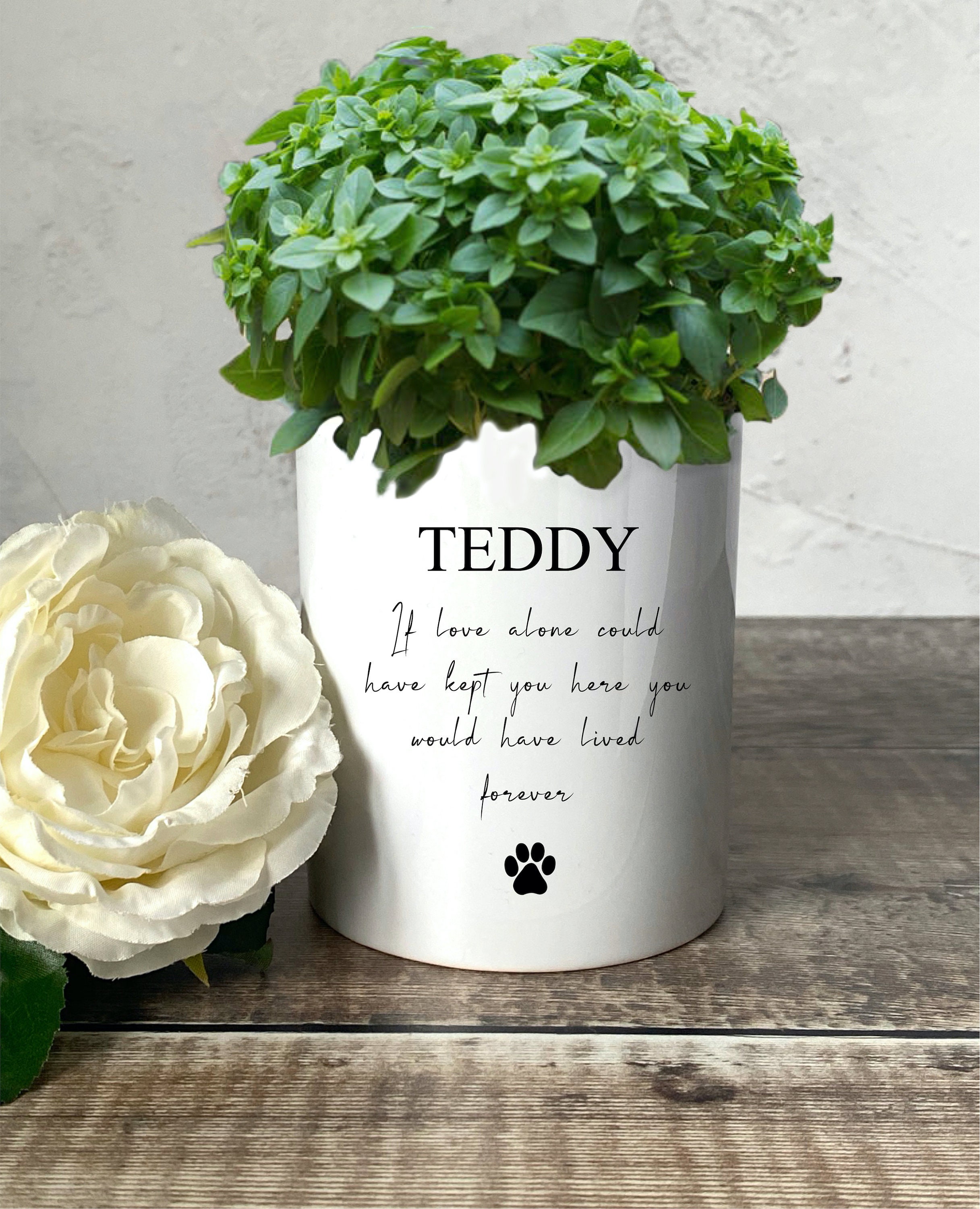 Dog Memorial Gift Set Dog Memorial Plant Pot Pet Memorial Etsy UK