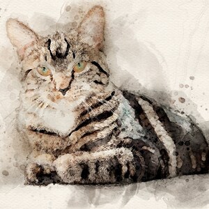 May include: A watercolor painting of a tabby cat with green eyes, lying down and looking at the viewer. The cat has a white patch on its chest and is surrounded by a light brown background with watercolor splatters.