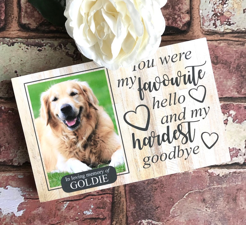 Puede incluir: Una placa conmemorativa de madera con una foto de un perro golden retriever. El texto dice "Fuiste mi favorito hola y mi adi&oacute;s m&aacute;s dif&iacute;cil". La placa tambi&eacute;n incluye el texto "En memoria cari&ntilde;osa de Goldie".