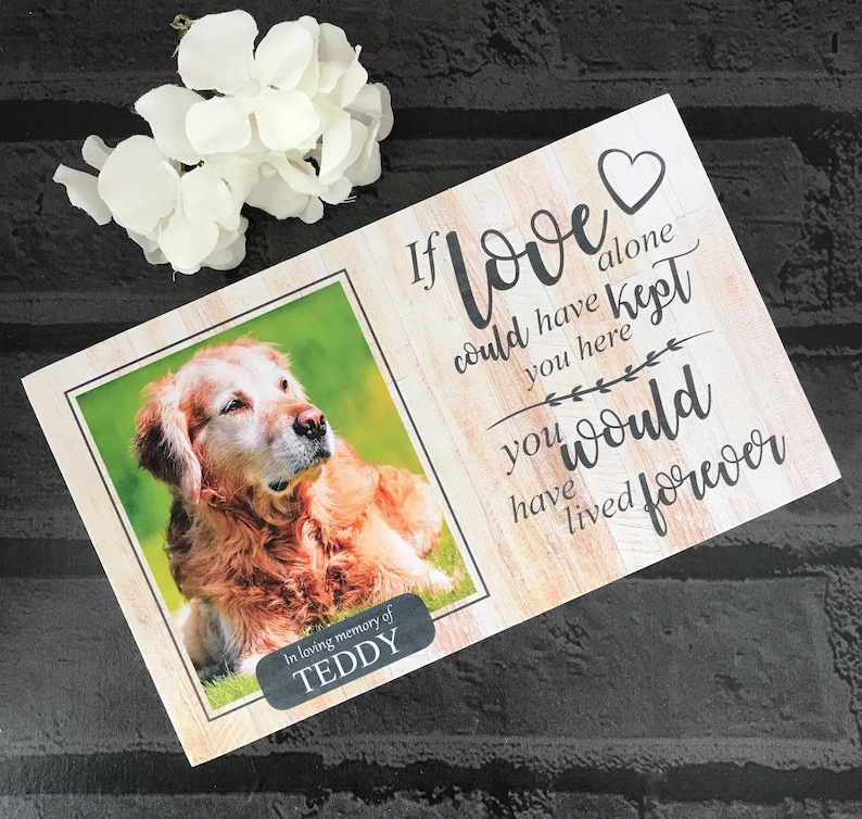 Dog Memorial Gift Dog Memorial Pet Memorial Frame Pet Etsy UK
