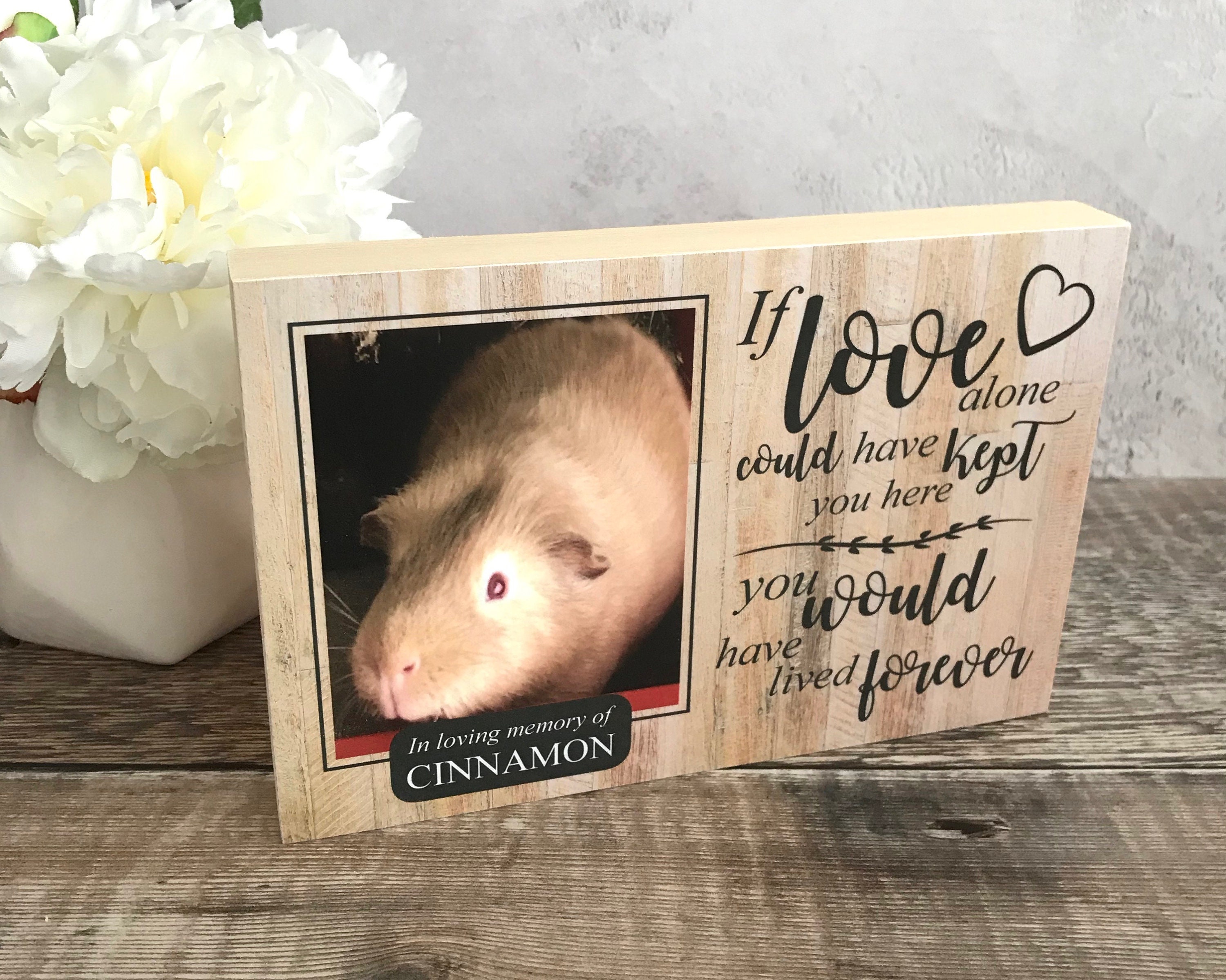 Guinea Pig Memorial GiftPet Memorial Memorial Gift Guinea Etsy