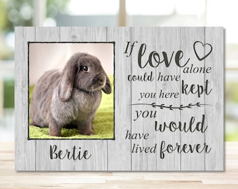 Pet Memorial Frame, Rabbit Memorial Gift, Memorial Gift, Rabbit Memorial Frame, Rabbit Plaque, Rabbit Photo Frame, Remembrance Gift Keepsake