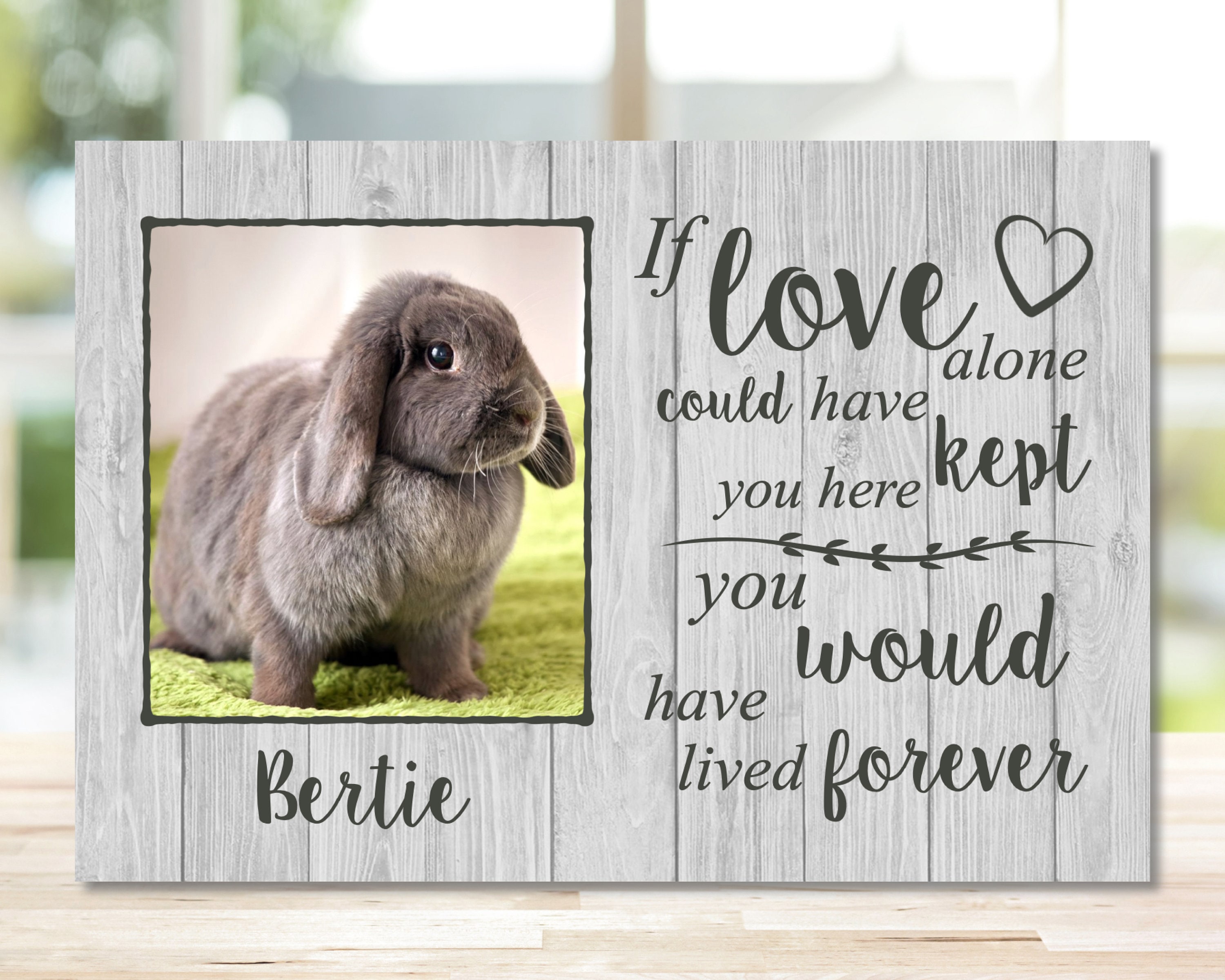 Pet Memorial Frame Rabbit Memorial Gift Memorial Gift Etsy UK