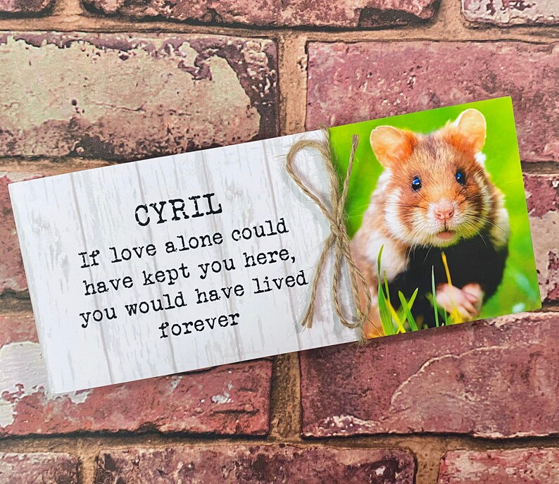 Rabbit Memorial Giftpet Memorial Frame Memorial Gift Rabbit Etsy UK