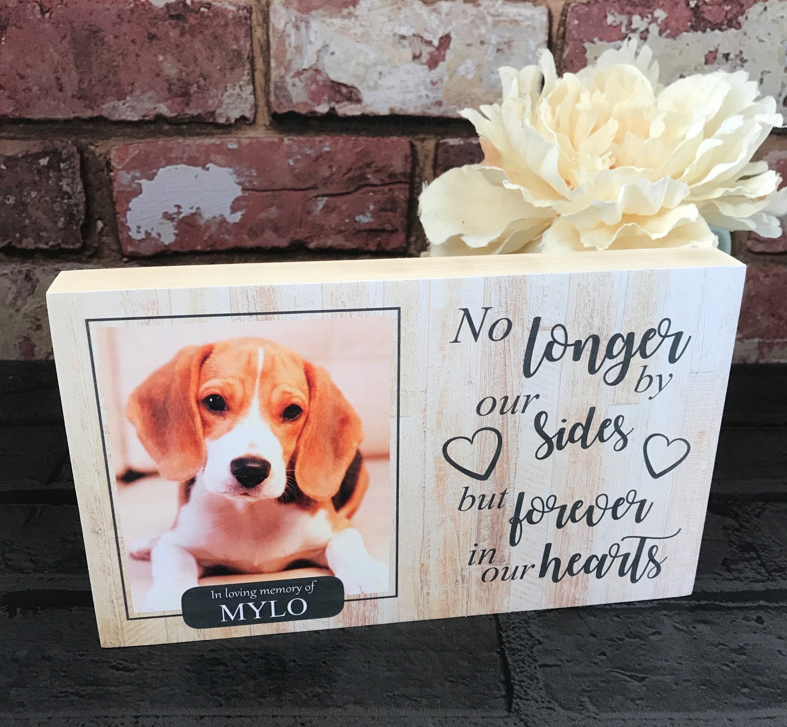 Cat Memorial Gift Cat Memorial Frame Cat Memorial Cat Etsy UK