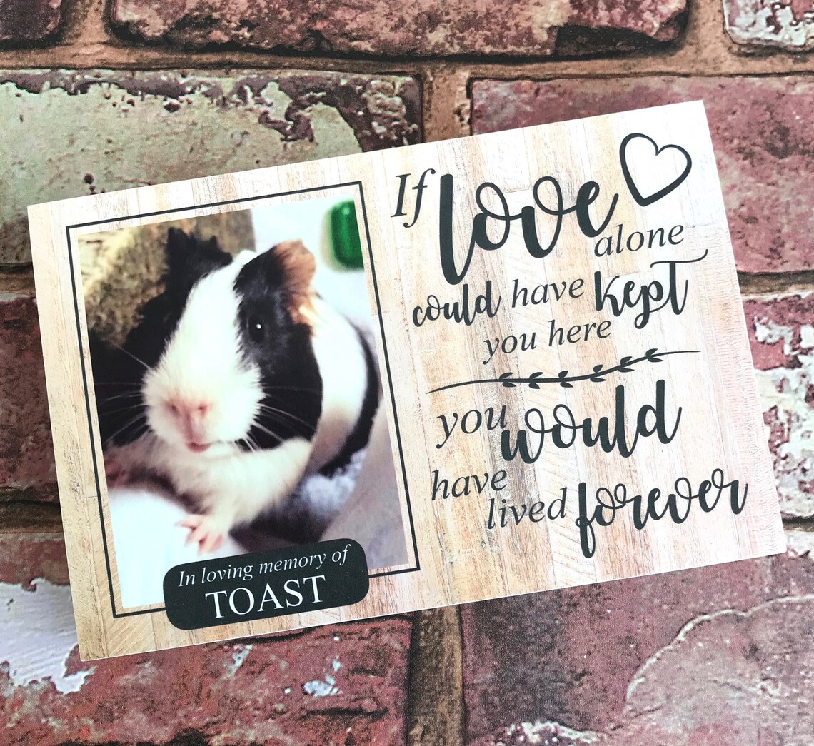 Guinea Pig Memorial GiftPet Memorial Memorial Gift Guinea Etsy