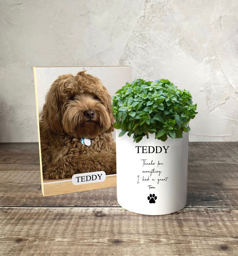 Dog Memorial Gift Set Dog Memorial Plant Pot Pet Memorial Etsy