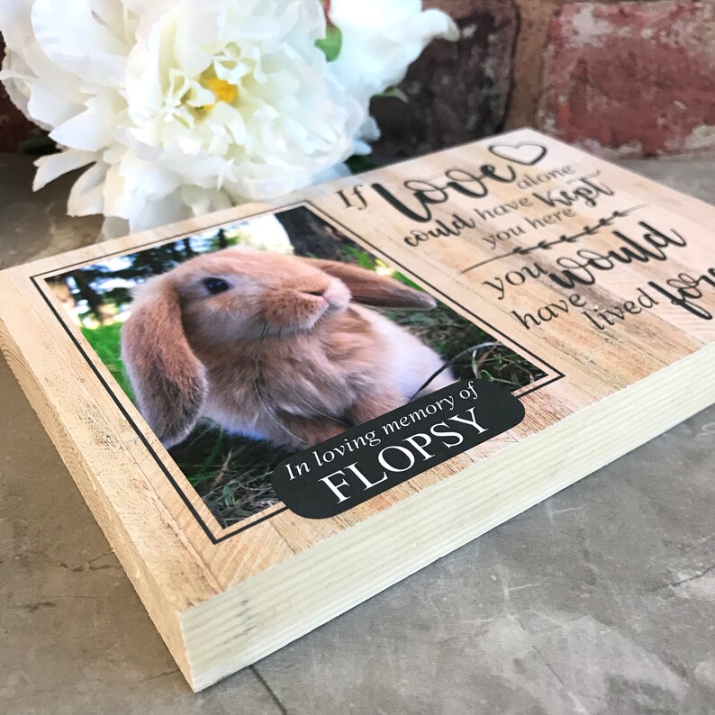 Rabbit Memorial Giftpet Memorial Frame Memorial Gift Rabbit Etsy UK