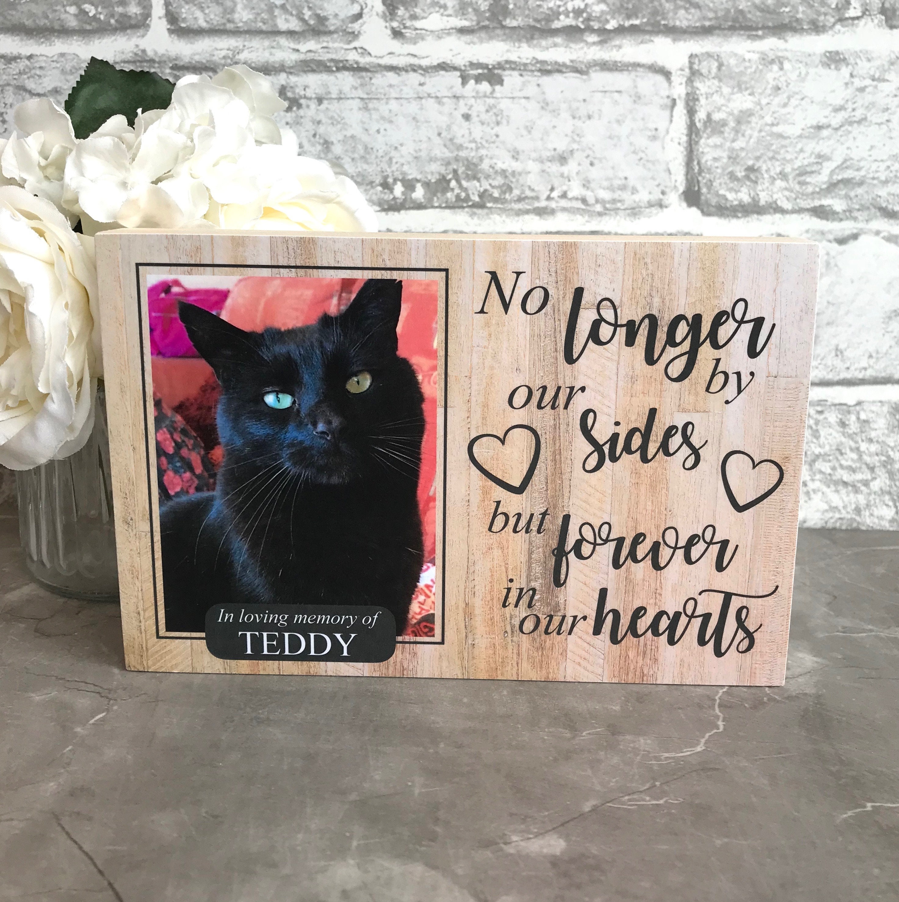 Cat Memorial Gift Cat Memorial Frame Cat Memorial Cat Etsy