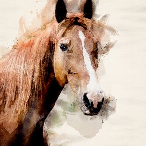 May include: A watercolour painting of a brown horse with a white stripe down its face. The horse is looking directly at the viewer with its head tilted slightly to the side.
