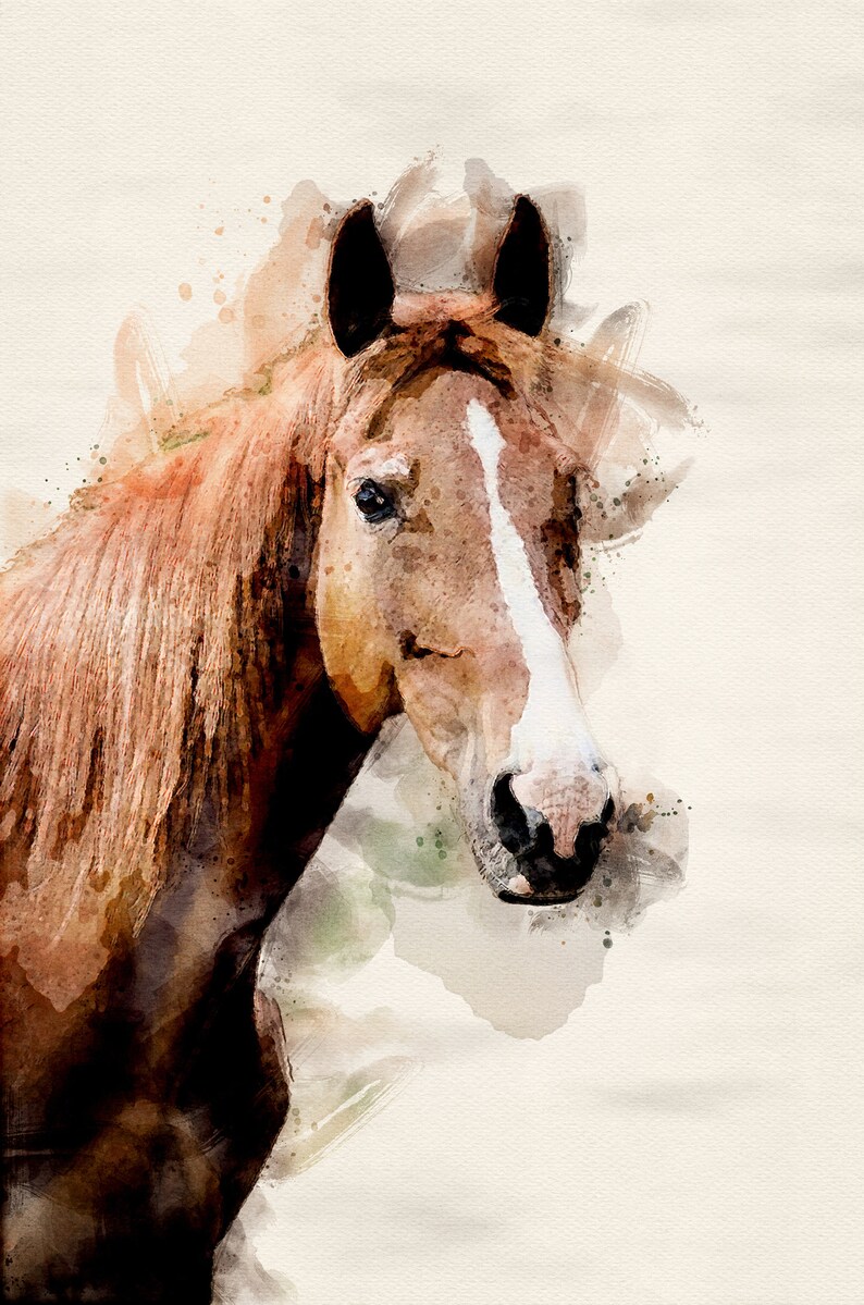 May include: A watercolour painting of a brown horse with a white stripe down its face. The horse is looking directly at the viewer with its head tilted slightly to the side.