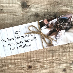 May include: A white wooden card with the text "SOX You have left paw prints on our hearts that will last a lifetime" and a photo of a tabby cat with green eyes.