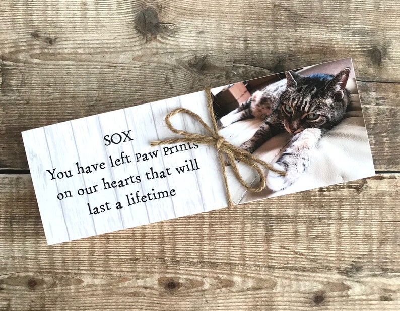 May include: A white wooden card with the text "SOX You have left paw prints on our hearts that will last a lifetime" and a photo of a tabby cat with green eyes.