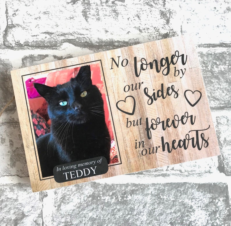 Cat Memorial Gift Pet Memorial Frame Pet Memorial Cat Etsy