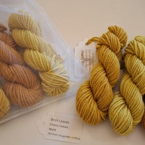 May include: Four skeins of yarn in shades of yellow and brown. The yarn is labelled "Birch Leaves, Cherry Leaves, Wild (All from my garden in Abey)".