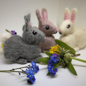 Needle Felting Kit - Rabbits - Natural Colours