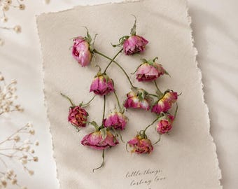 Mini Dried Pink Roses | Garden Craft Flowers, Wedding Confetti, Resin Art Décor