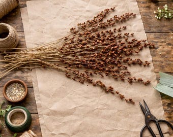Natural Red-Orange Seed Pods Heads – Dried Botanical Stems – Rustic Craft Supply – Fall Floral Arrangement