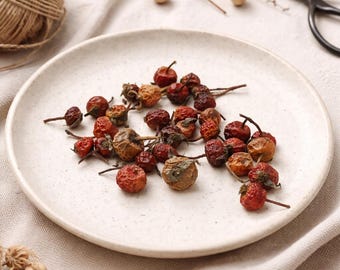 50 Dried Rose Hip Pods | Natural Rustic Floral Supply