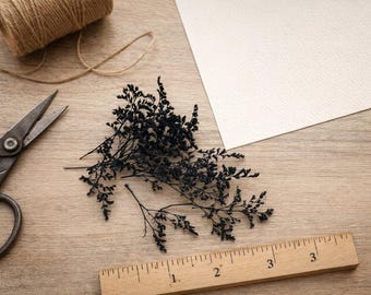 Painted Caspia Tips – Set of 20 | 3–4” Preserved Flower Stems | Craft & Floral Decor