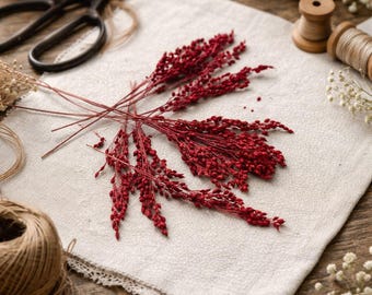 Red Painted Dried Oats – 5" Floral Stems, DIY Crafts (Set of 20)
