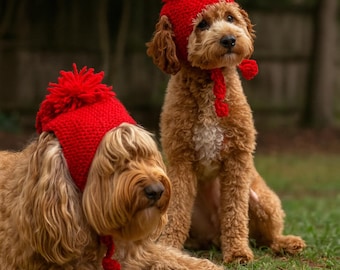 PDF-Knitted Dog Hats-Knitted pets hats pattern-Hat for dog pattern