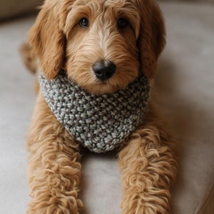 Knitting PATTERN- Knitted Scarf-Bandana for Dogs and Children-Bulky yarn Knitting Pattern-Pet Accessories Pattern