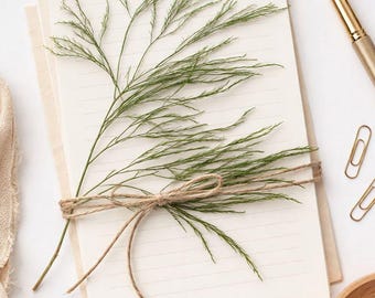Preserved Tree Fern Branches - Natural Green Stems, Craft & Resin Projects
