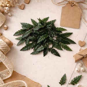 May include: A still-life composition featuring dark green fern fronds, lace ribbon, wooden spools, and craft paper elements. Small wooden hearts and faux pearls add decorative touches. The items are arranged on a neutral-toned surface.