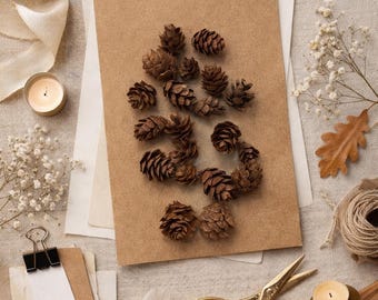 30 Small Natural Pine Cones | Mini Pinecones for Crafts, Decor & DIY Projects
