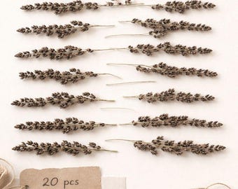 Naturally Black Dried Seed Pods | Minimalist Botanical Stems | Set of 20 | Luxury Floral Supply