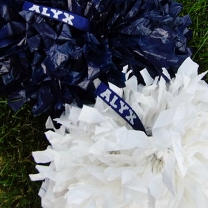Pom Pom Name tags set of 2| Cheerleader Gifts| Team Gifts| Pom Tags| Cheer name Tags