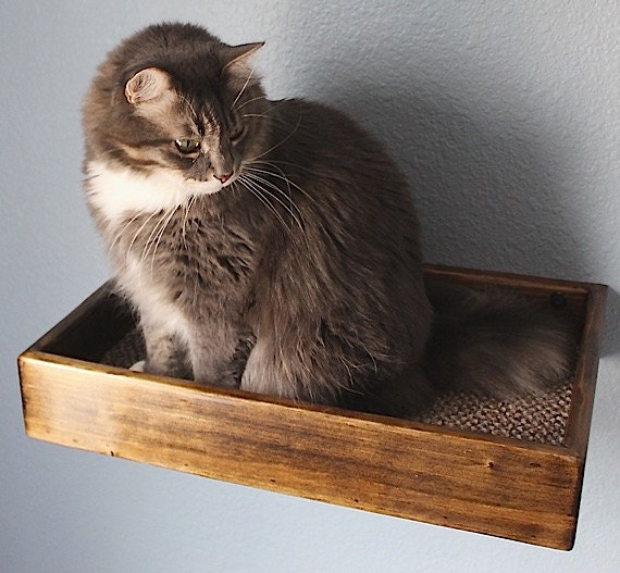 Cat Wall Bed/Shelf Floating Stained Wood Style | Etsy
