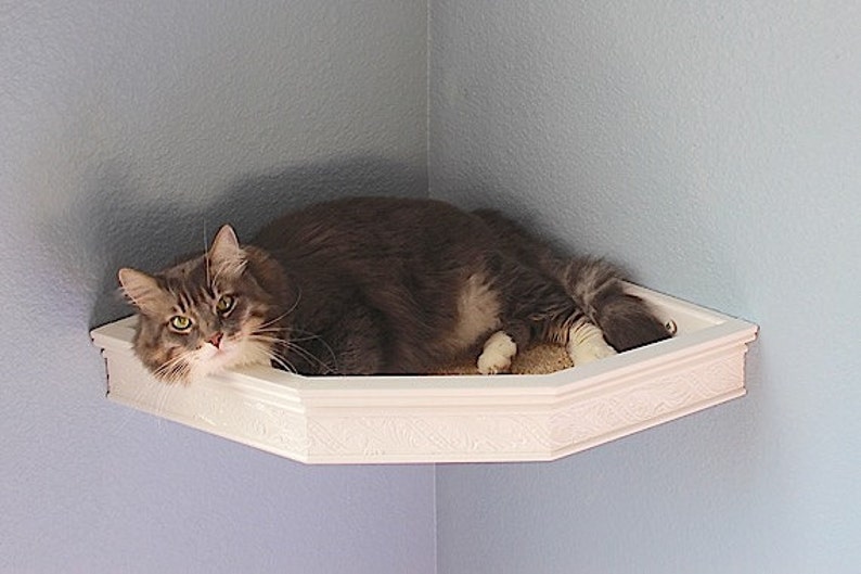 Cat Wall Corner Bed Shelf Floating Heirloom Style Moulding Image 0