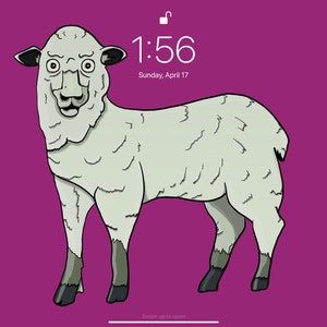 Crazy Sheep Digital Wallpaper