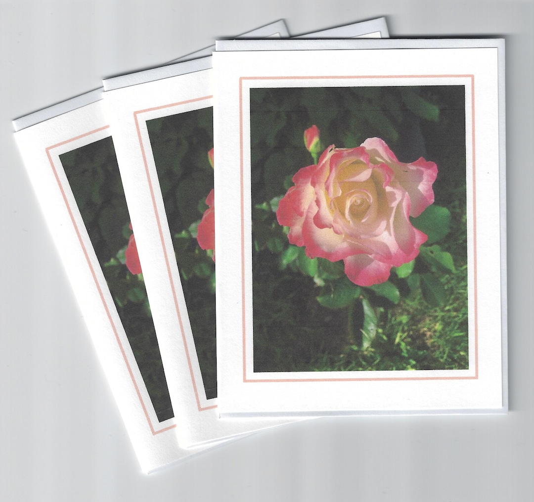 Note Cards - Handmade From Original 'ROSE' Photograph (taken in My ...