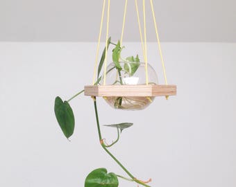 Birch Plywood Hanging Planter (with glass bowl)