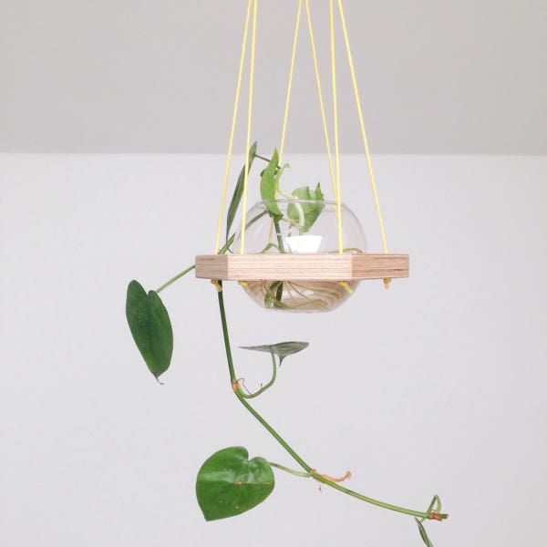 Birch Plywood Hanging Planter (with glass bowl)