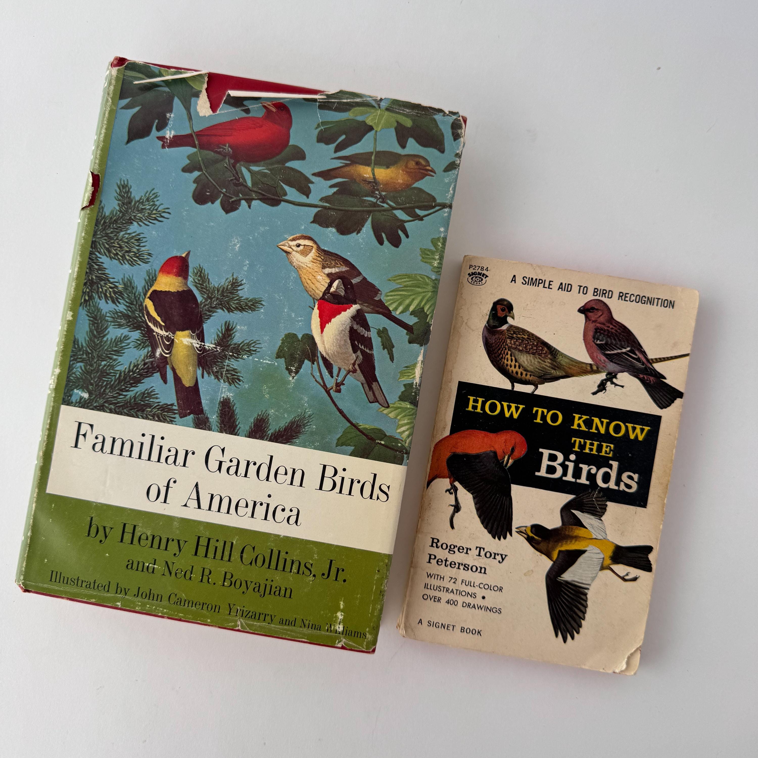 Vintage Bird Guide - Etsy