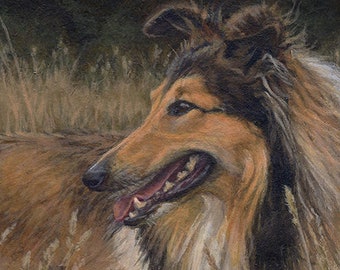 ACEO print - Rough Collie and Saw-wort