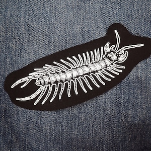 Centipede Patch - insect patch, nature, crust horror punk patch, patches for jacket, punk jacket, creepy crawly, bug screenprint, goblincore